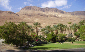 השכרת רכב בארץ