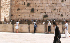 השכרת רכב בירושלים